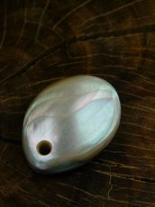 画像3: 夜光貝磨き体験用パーツ≪二重真珠層パーツ≫ (3)